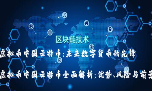 虚拟币中国云特币：未来数字货币的先锋

虚拟币中国云特币全面解析：优势、风险与前景