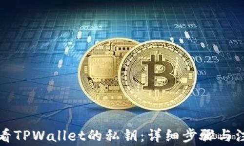 
如何查看TPWallet的私钥：详细步骤与注意事项
