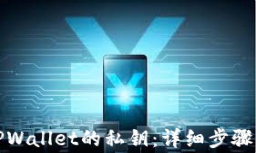 
如何查看TPWallet的私钥：详细步骤与注意事项
