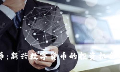 白菜虚拟币：新兴数字货币的投资机会与风险解析