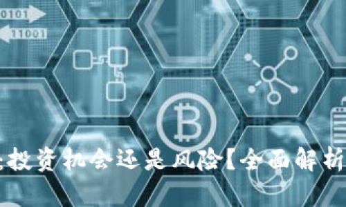 FNR虚拟币：投资机会还是风险？全面解析与投资指南