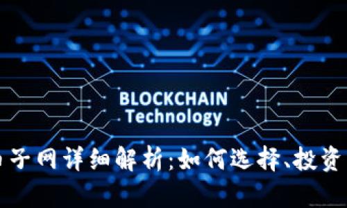 虚拟币子网详细解析：如何选择、投资及管理