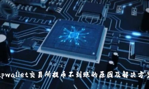 tpwallet交易所提币不到账的原因及解决方案