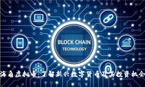 海角虚拟币：了解新兴数字货币及其投资机会