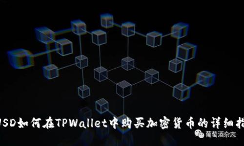 BUSD如何在TPWallet中购买加密货币的详细指南