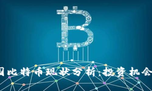 2023年美国比特币现状分析：投资机会与风险解读