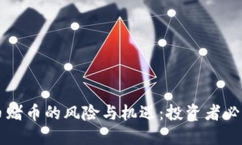 虚拟币赌币的风险与机遇：投资者必读指南