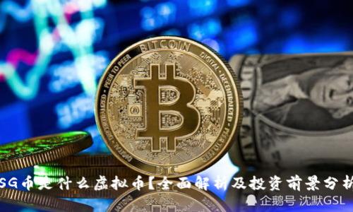 SG币是什么虚拟币？全面解析及投资前景分析