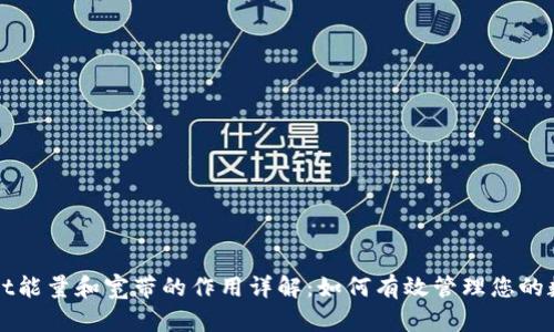 TPWallet能量和宽带的作用详解：如何有效管理您的数字资产