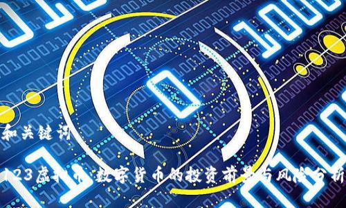 和关键词

123虚拟币：数字货币的投资前景与风险分析