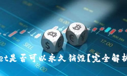 TPWallet是否可以永久销毁？完全解析与解答