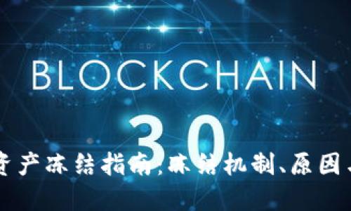 TPWallet资产冻结指南：冻结机制、原因与解决方案