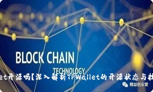 TPWallet开源吗？深入解析TPWallet的开源状态与技术特性