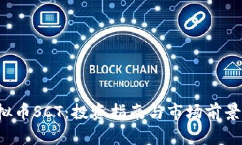  虚拟币SCT：投资指南与市场前景分析