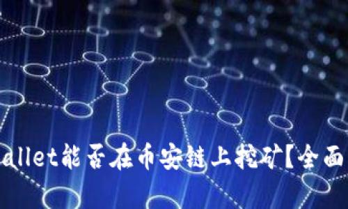 TPWallet能否在币安链上挖矿？全面解析