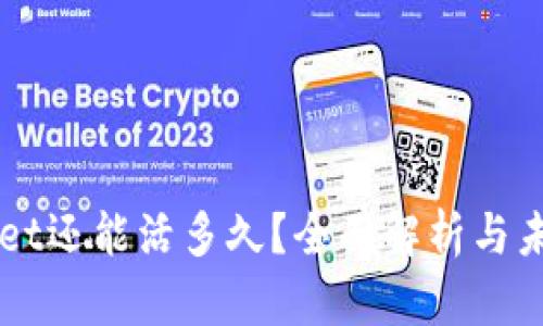 TPWallet还能活多久？全面解析与未来展望