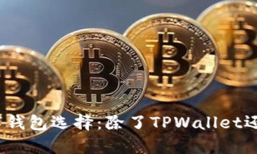 适合用户的多种数字钱包选择：除了TPWallet还有哪些好用的钱包？