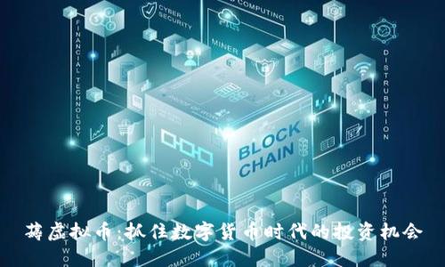 薅虚拟币：抓住数字货币时代的投资机会