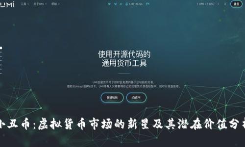 小丑币：虚拟货币市场的新星及其潜在价值分析