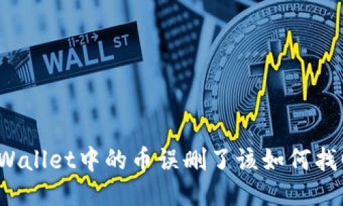 TPWallet中的币误删了该如何找回？