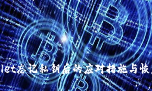 TPWallet忘记私钥后的应对措施与恢复方法
