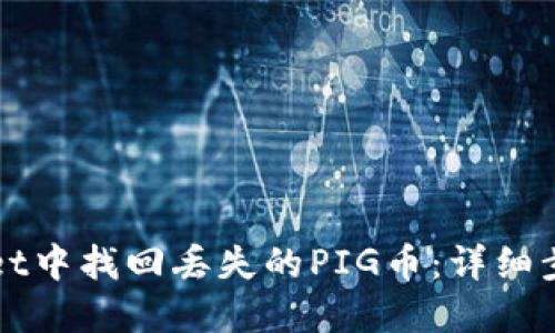 如何在TPWallet中找回丢失的PIG币：详细步骤及解决方案