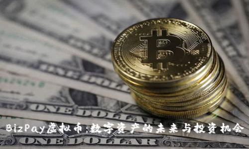 BizPay虚拟币：数字资产的未来与投资机会