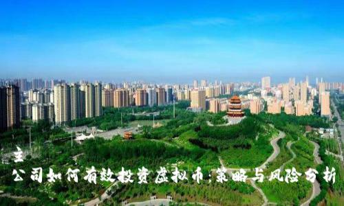 主  
公司如何有效投资虚拟币：策略与风险分析