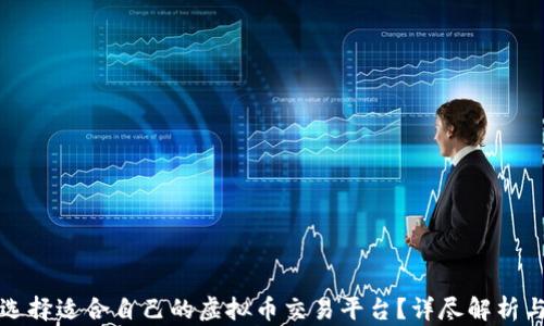 
如何选择适合自己的虚拟币交易平台？详尽解析与推荐