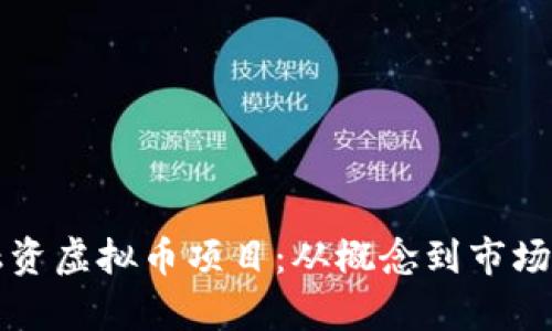 如何有效融资虚拟币项目：从概念到市场的全面指南