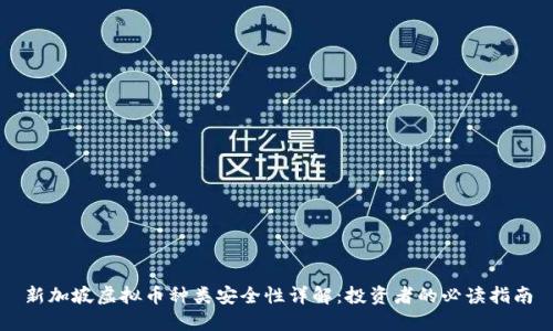 新加坡虚拟币种类安全性详解：投资者的必读指南