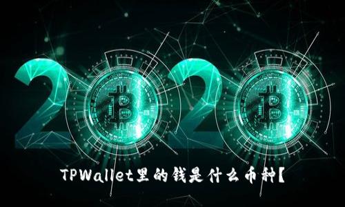 TPWallet里的钱是什么币种？