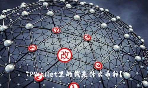 TPWallet里的钱是什么币种？