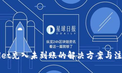 TPWallet充入未到账的解决方案与注意事项