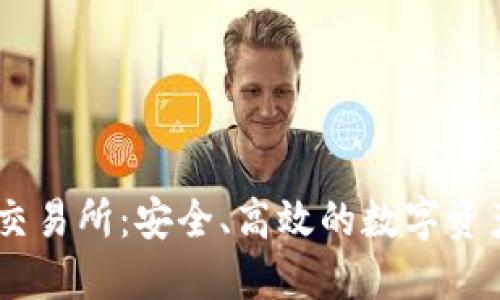 S6虚拟币交易所：安全、高效的数字资产交易平台