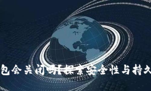 虚拟币钱包会关闭吗？探索安全性与持久性的背后