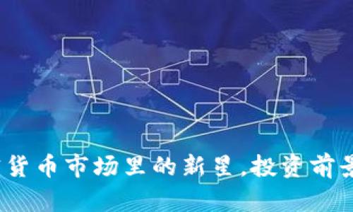鲤鱼币：加密货币市场里的新星，投资前景与风险分析