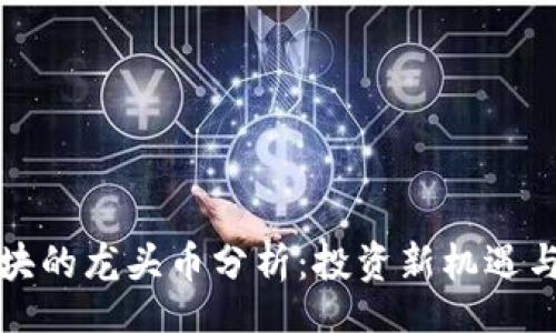 bage
虚拟币板块的龙头币分析：投资新机遇与市场趋势