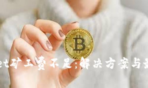 TPWallet矿工费不足：解决方案与最佳实践