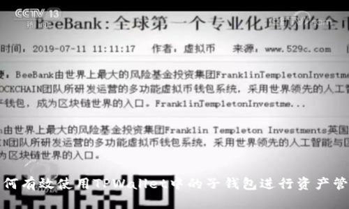 如何有效使用TPWallet中的子钱包进行资产管理