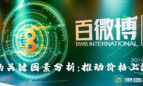 虚拟币涨价的关键因素分析：推动价格上涨的背后逻辑