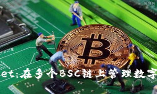 全面解析TPWallet：在多个BSC链上管理数字资产的最佳选择