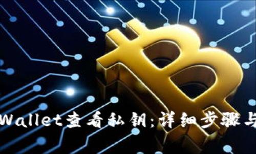如何在TPWallet查看私钥：详细步骤与注意事项