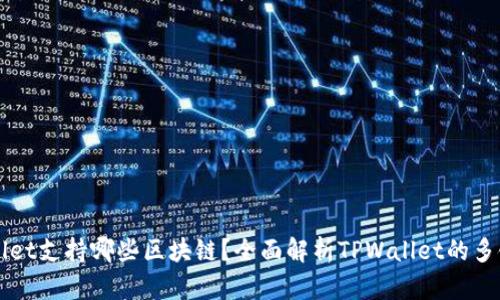 TPWallet支持哪些区块链？全面解析TPWallet的多链功能