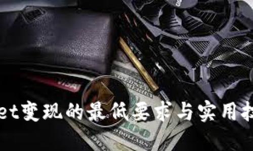 TPWallet变现的最低要求与实用技巧一览