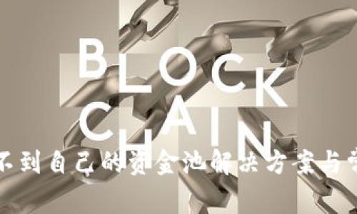 tpwallet看不到自己的资金池解决方案与常见问题解析