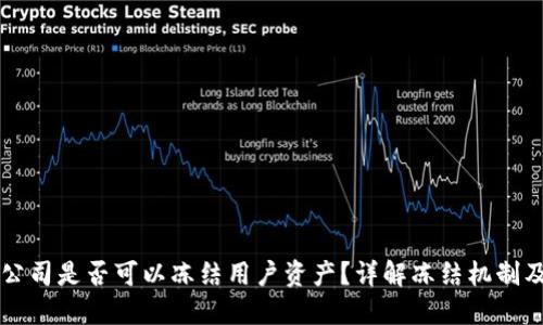 TPWallet公司是否可以冻结用户资产？详解冻结机制及用户权益
