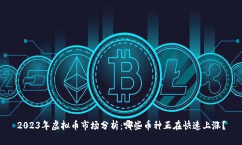2023年虚拟币市场分析：哪些币种正在快速上涨？