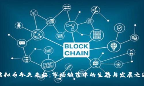 虚拟币冬天来临：市场动荡中的生存与发展之道