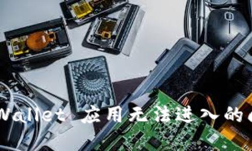 如何解决 TPWallet 应用无法进入的问题：详细指南